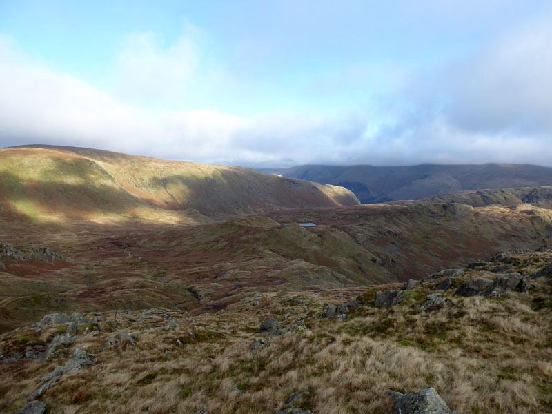 Brownrigg Moss