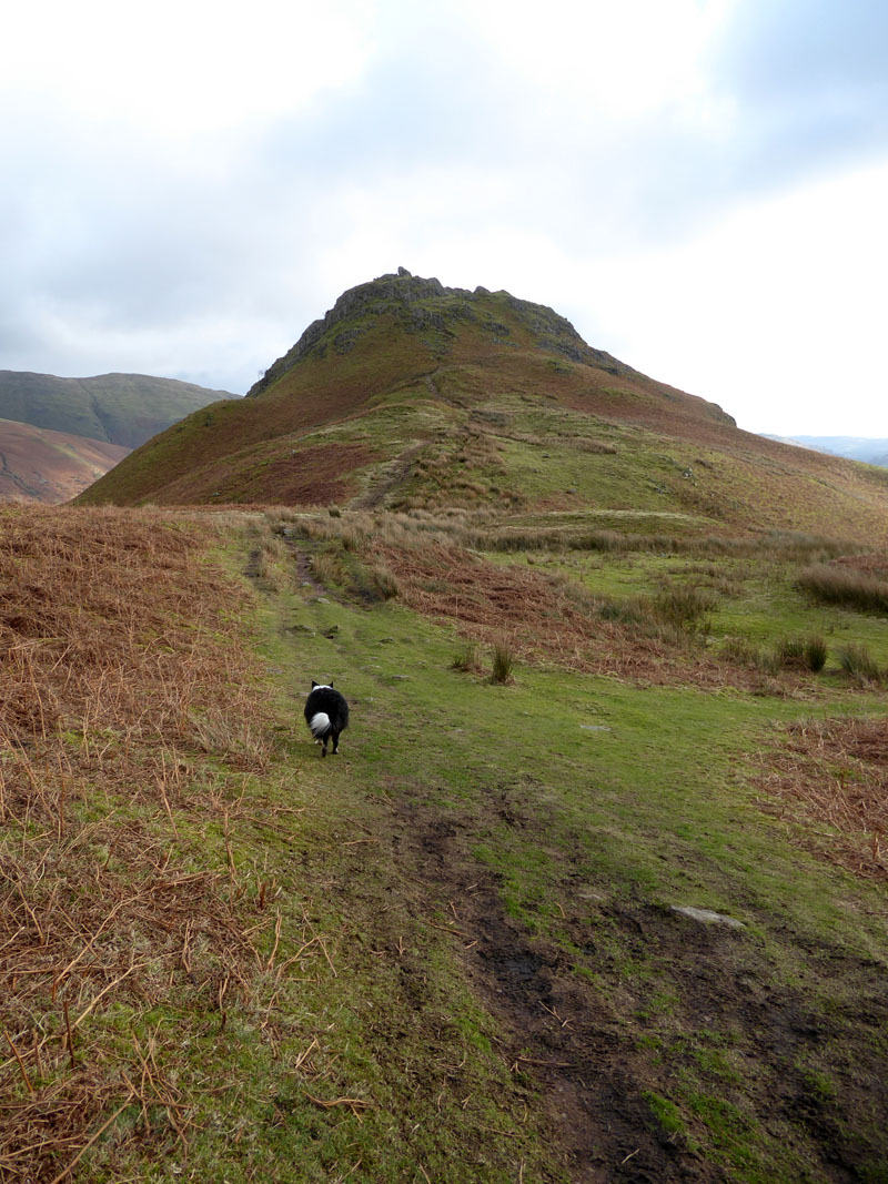 Helm Crag