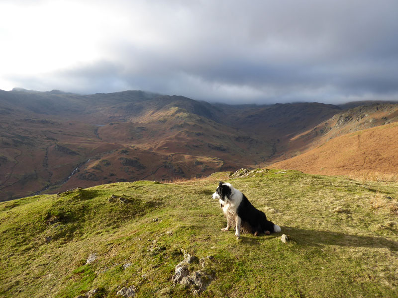 Molly Tarn Crag