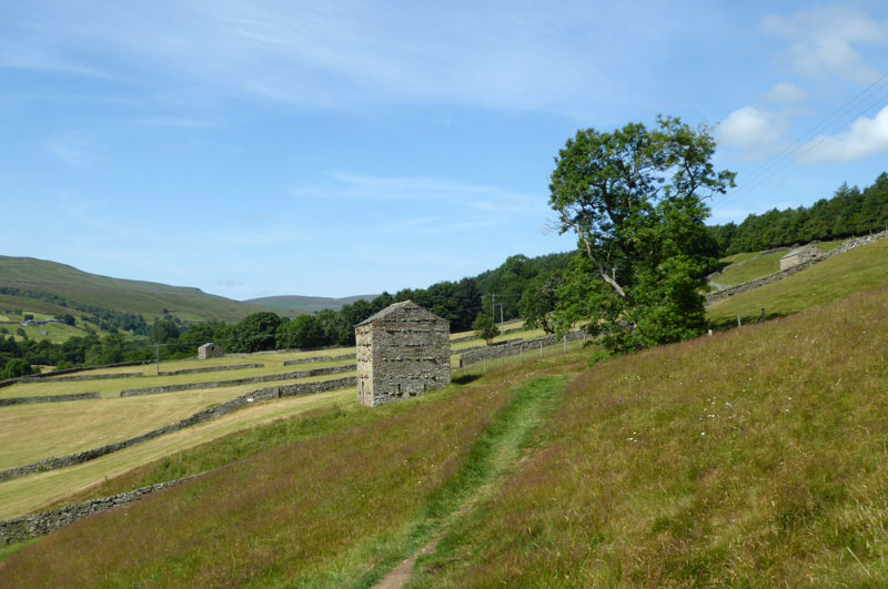 More Meadows