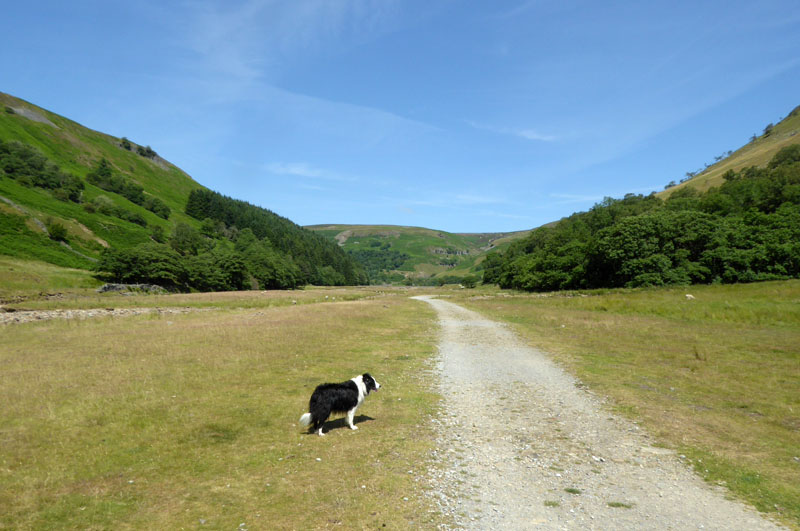 Swaledale