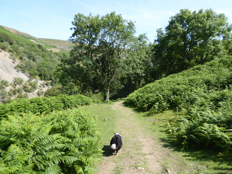 Keld Walking