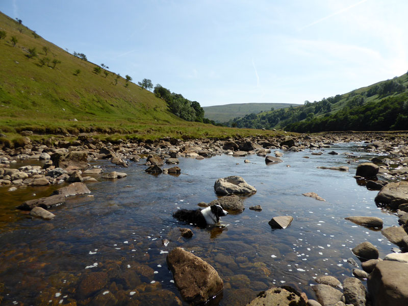 The River Swale