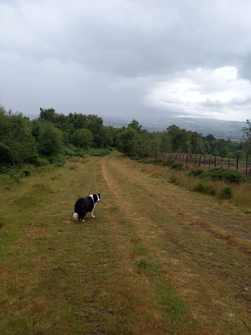 Stowborrow Hill