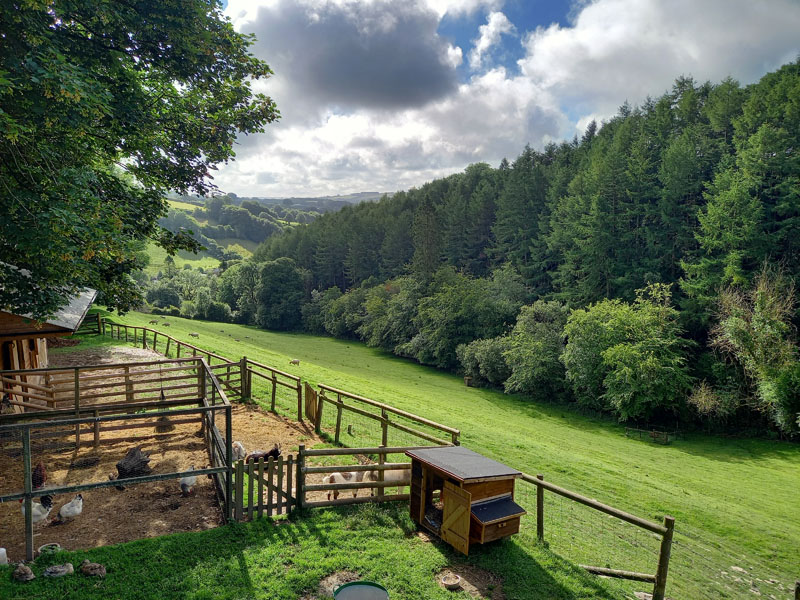 Yealscombe View