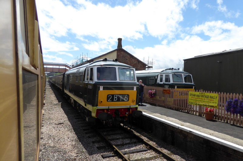 Hymek at Williton