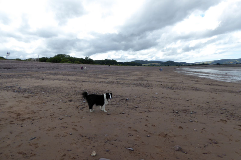 Blue Anchor Bay