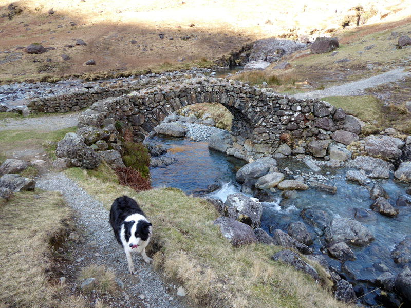 Lingcove Bridge