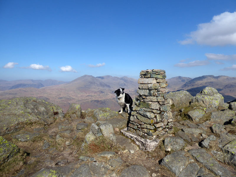 Molly Harter Fell Summit