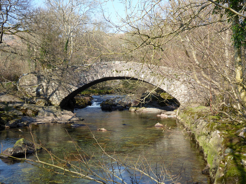 Doctor Bridge