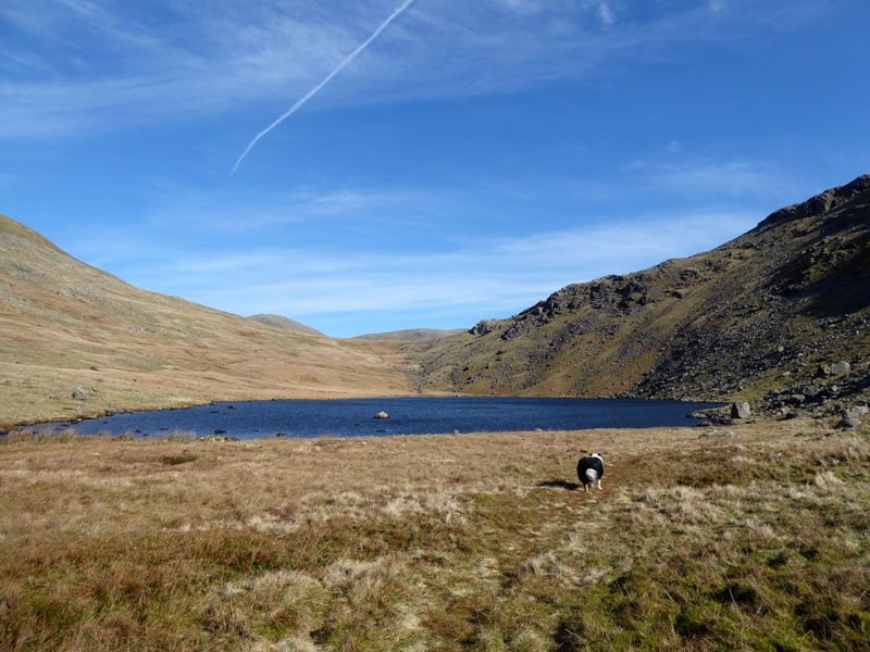 Greendale Tarn