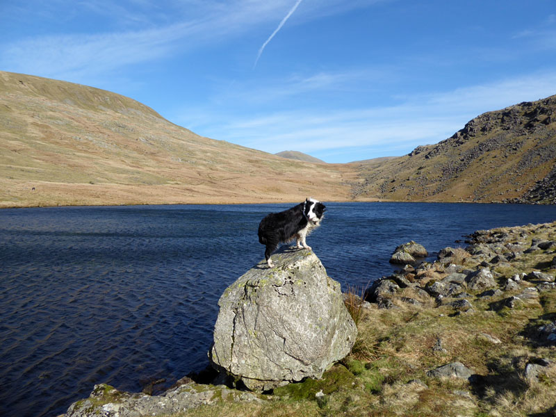 Molly Greendale Tarn