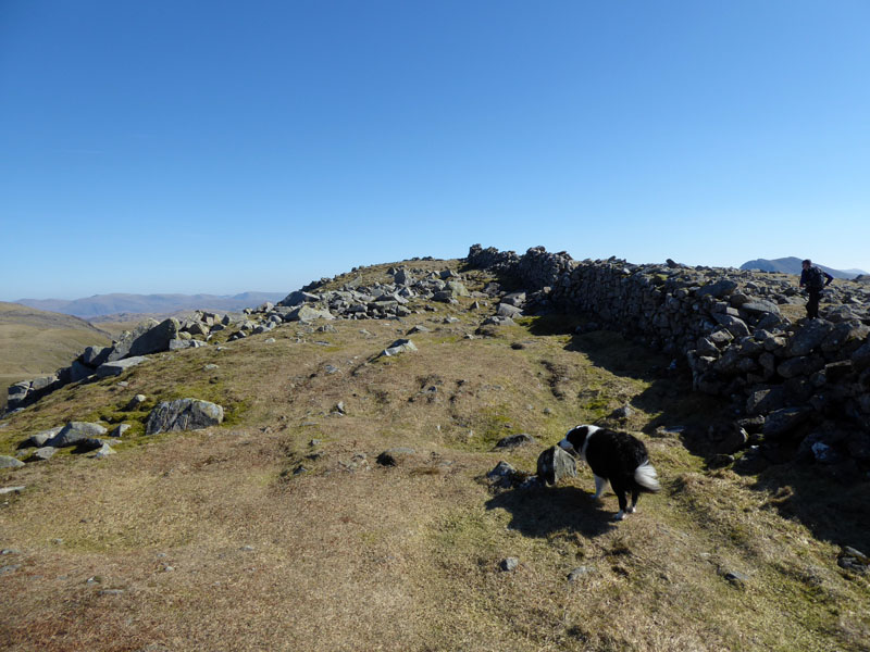 Scoat Fell