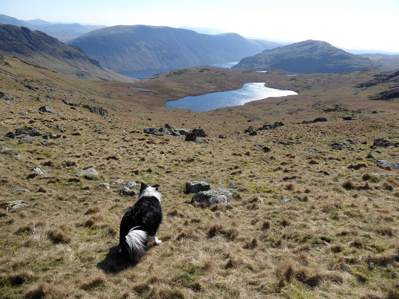 Low Tarn