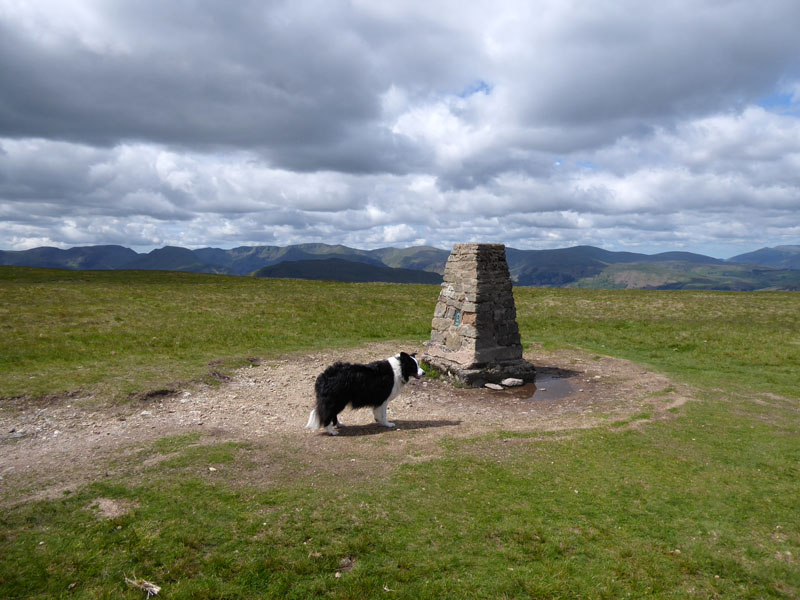 Molly Loadpot Hill