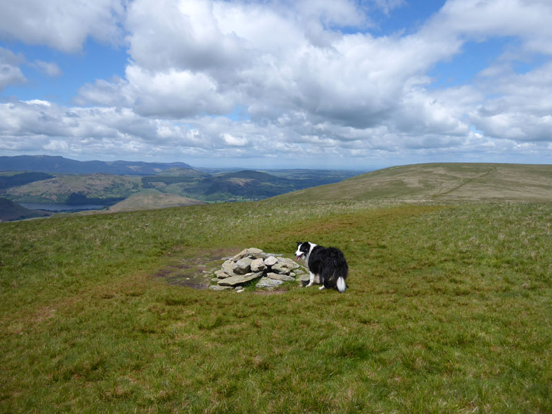 Molly on top of Wether Hill