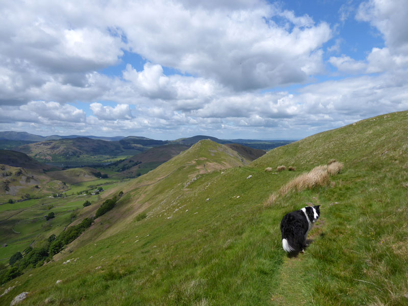 Brownthwaite Crag