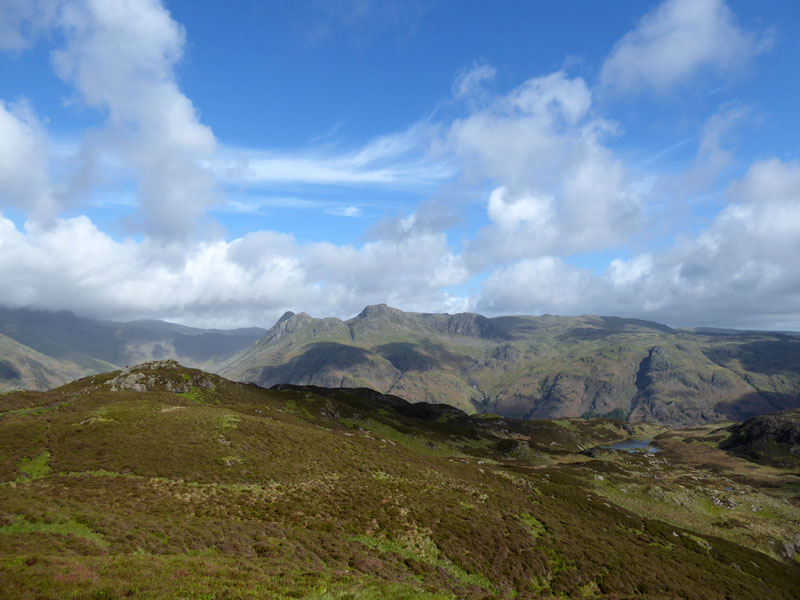 Lingmoor Fell View