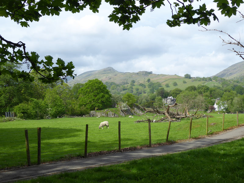 Fairfield Horseshoe