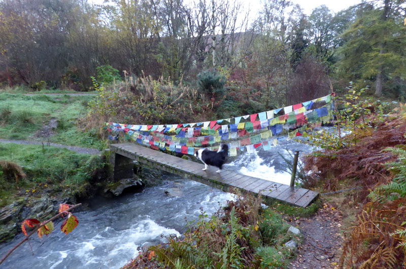 Coledale Beck