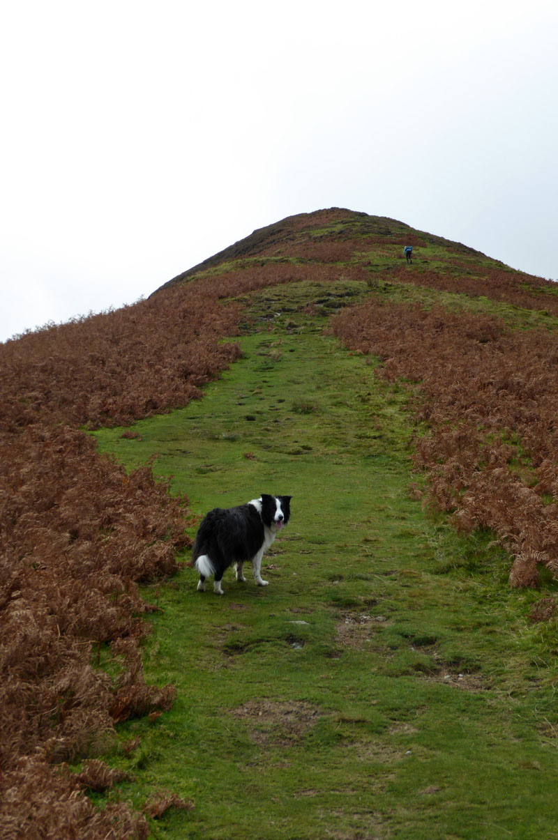 Stile End Ascent