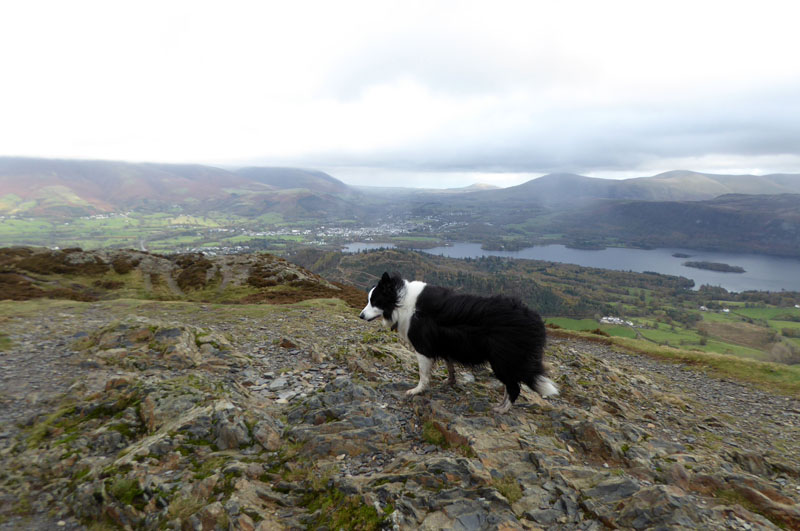 Molly on top of Barrow