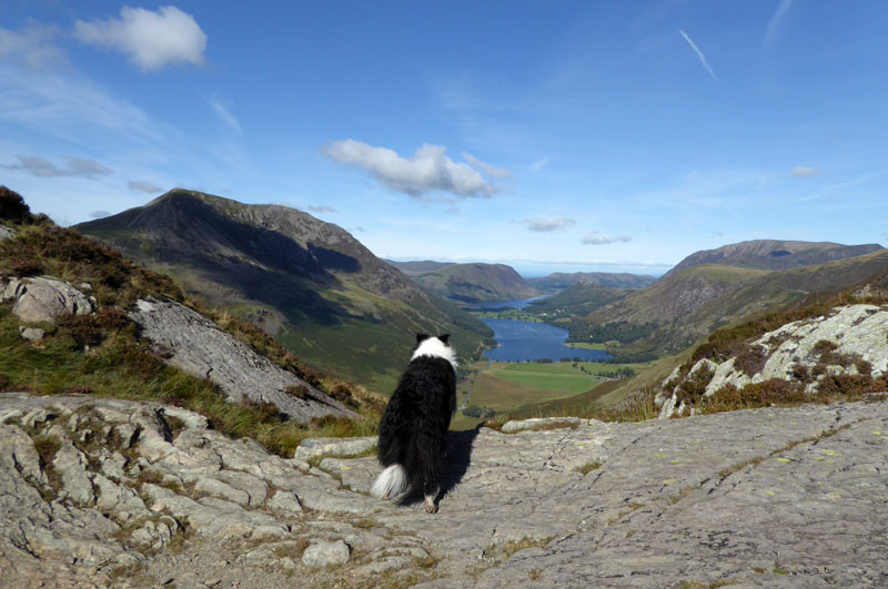 Buttermere View