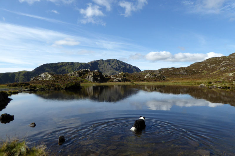 Innominate Tarn