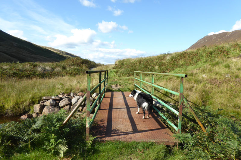 Mosedale Footbridge