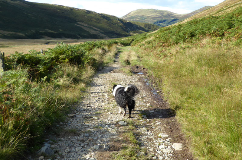 Mosedale Track