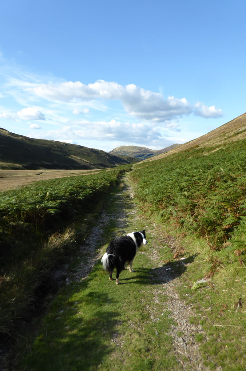 Mosedale Lane