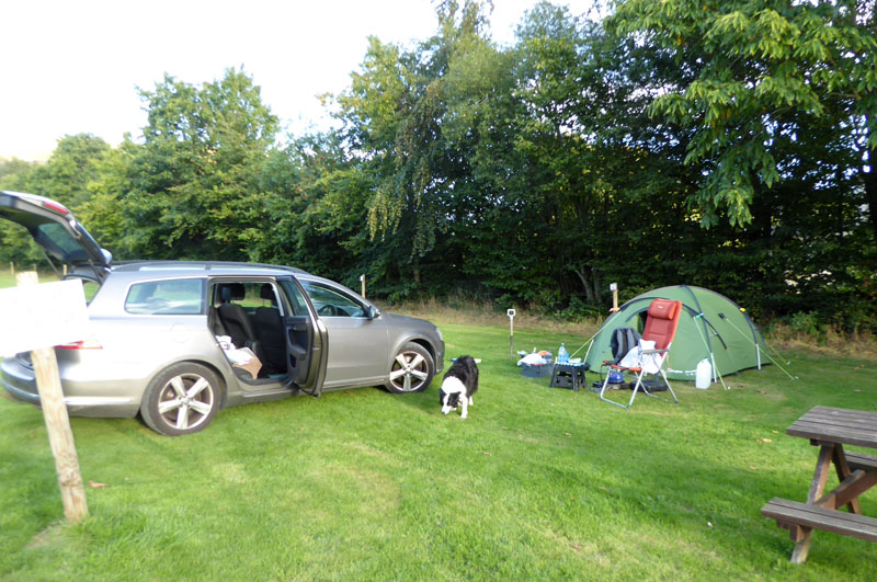 Low Lorton Campsite