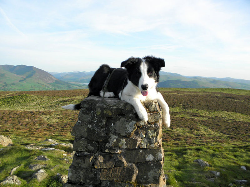 Molly on top of Binsey