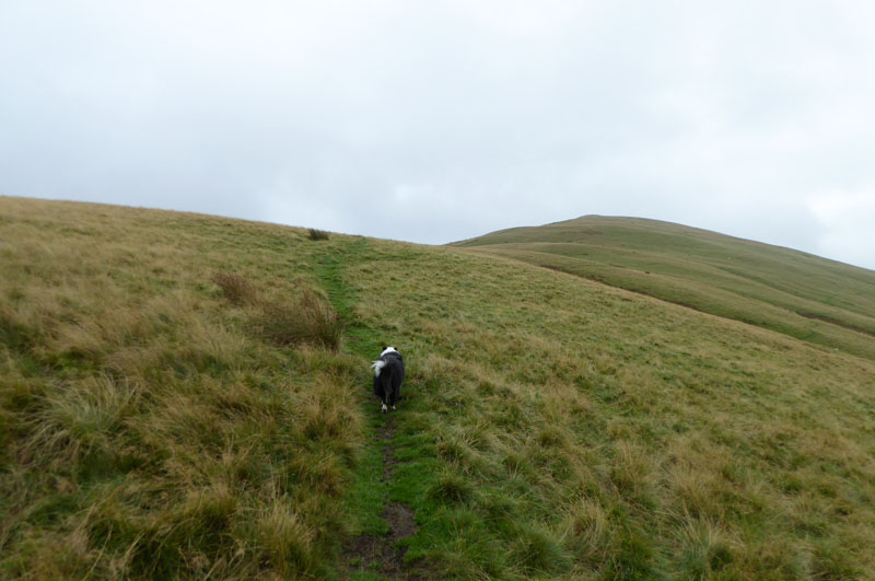 To Longlands Fell