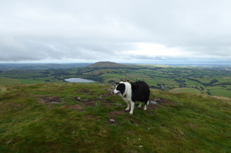 Molly Longlands Fell