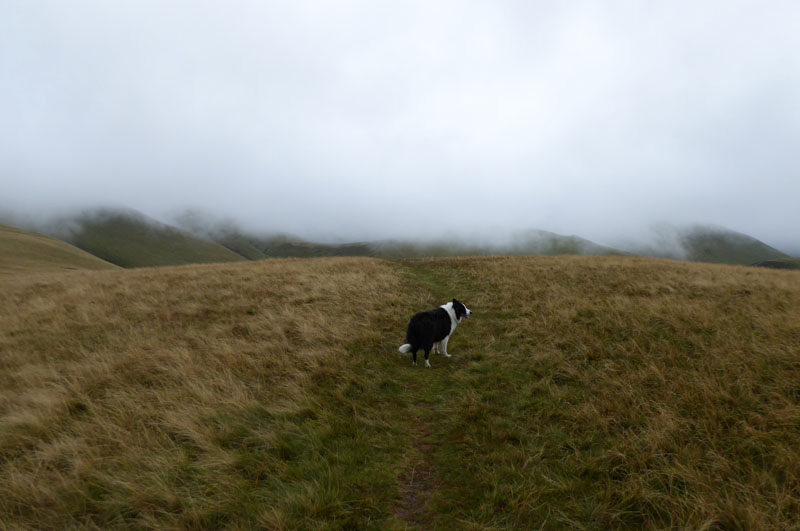 Longlands Fell