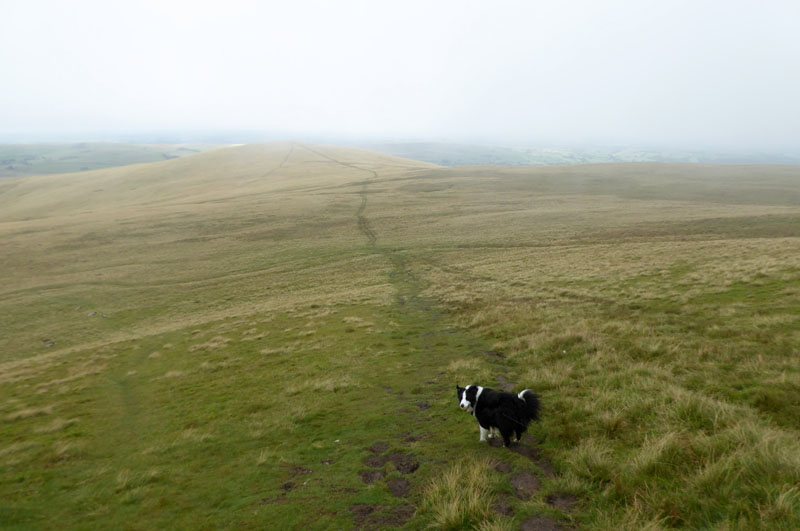 To Brae Fell