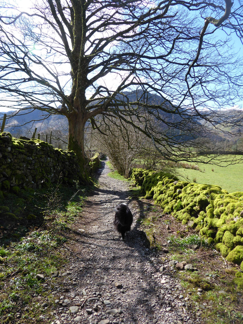 Cumbrian Way Rosthwaite