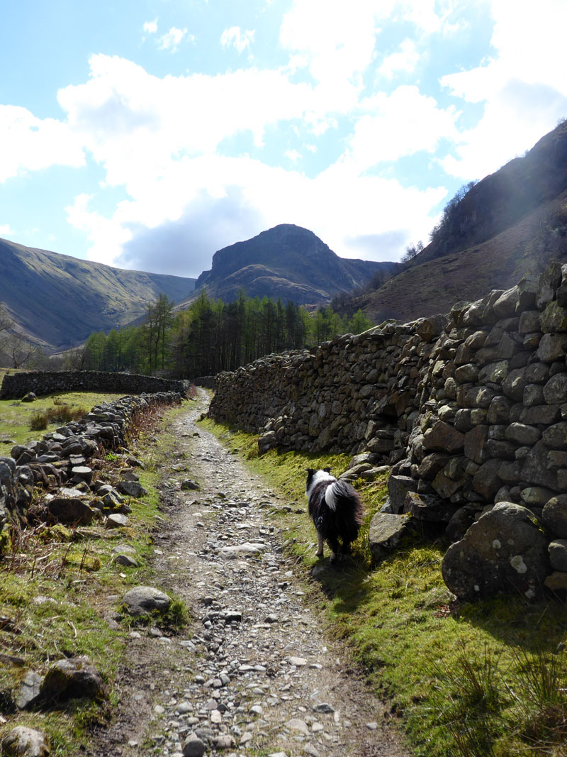 Eagle Crag