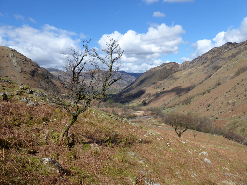 Borrowdale