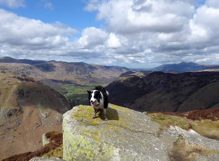 Molly on to of Eagle Crag