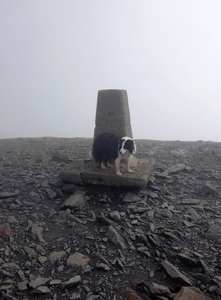 Molly Skiddaw