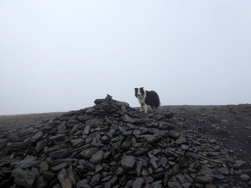 Molly Skiddaw Little Man