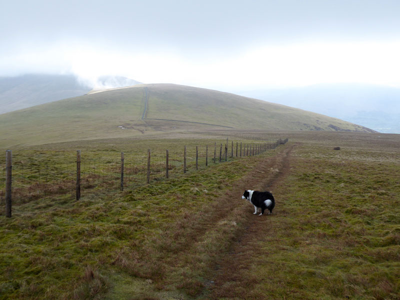 to Lonscale Fell