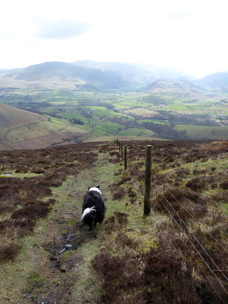 Lonscale Fell descent