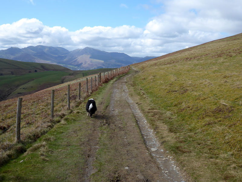 Skiddaw Walk