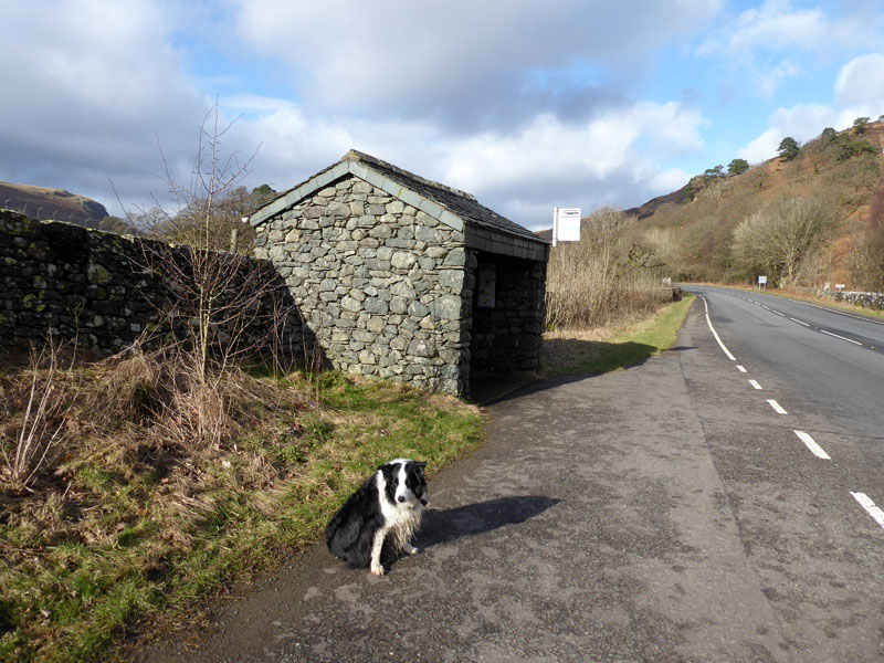 Thirlmere Bus Stop