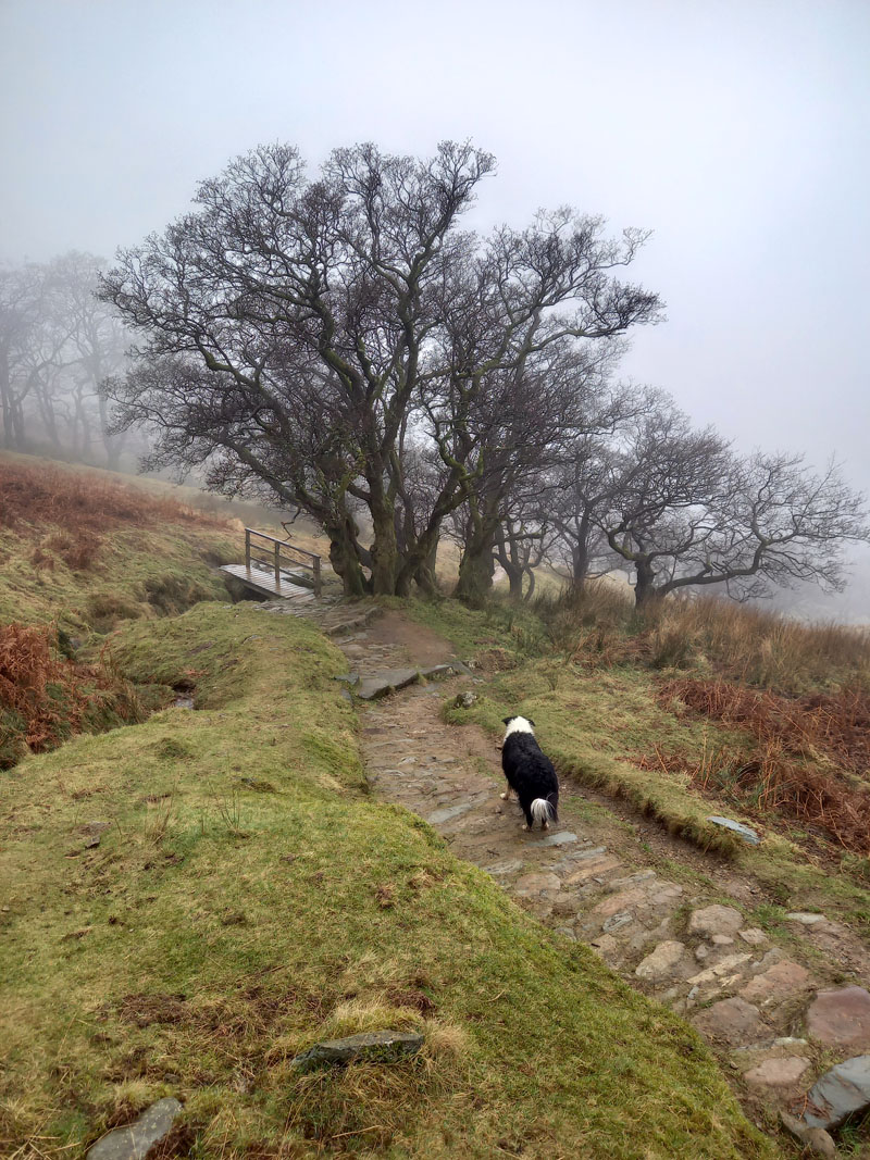 Wansfell Descent