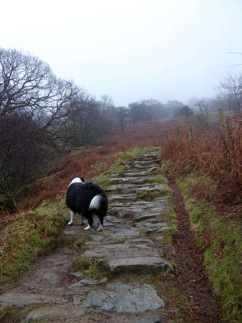 Wansfell CLimb