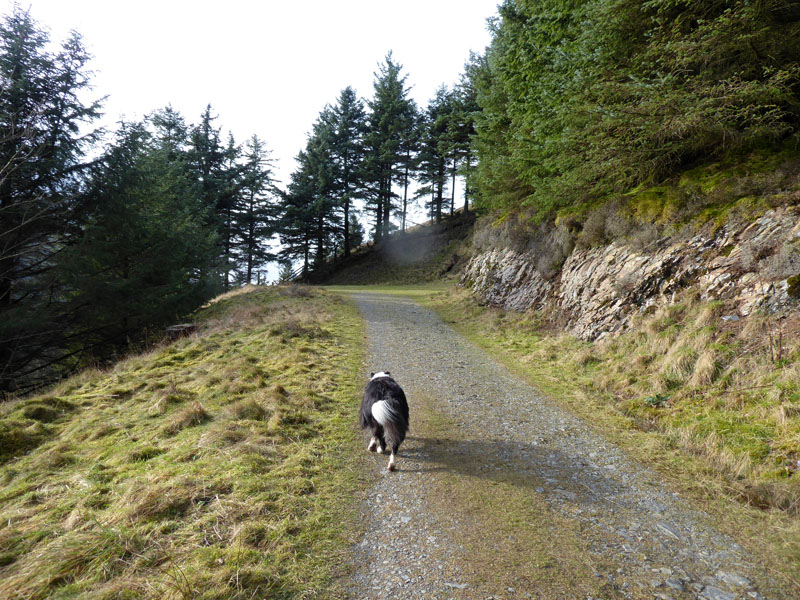 To the Fell Access